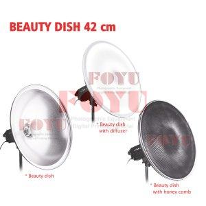 Beauty Dish Pro One Diameter 42 cm